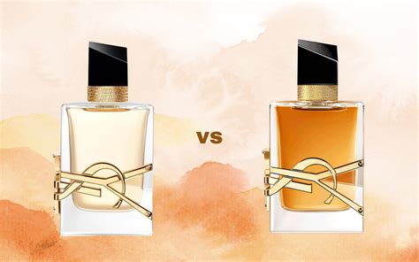 burberry goddess vs ysl libre intense|burberry goddess intense perfume.